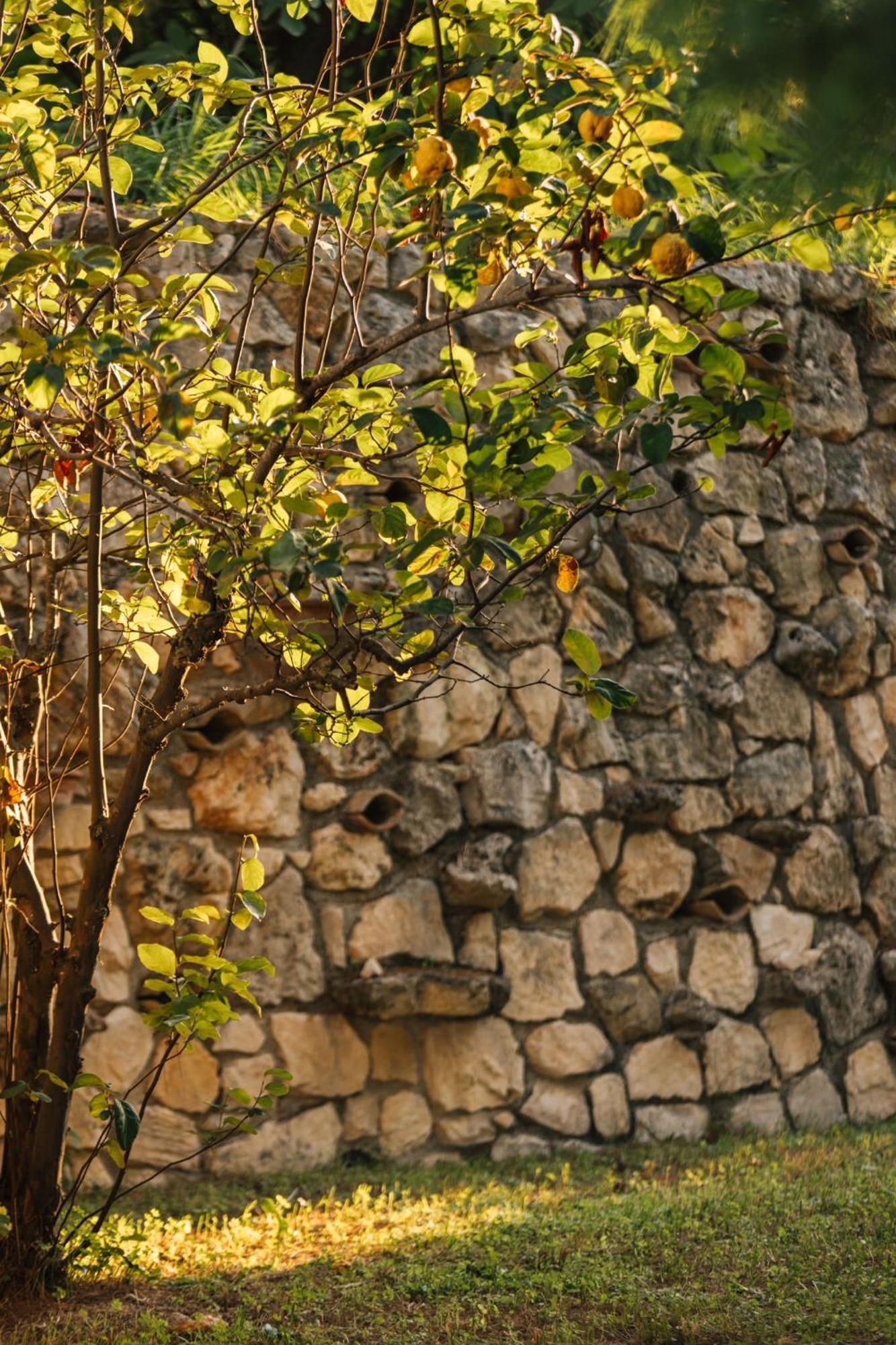 Ilyessa Cottages Méson Yerakaríon Exterior foto
